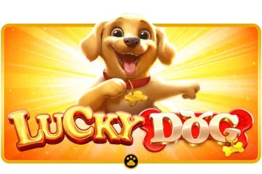 myanm98 Live Baccarat Roulette တိုက်ရိုက် Real Dealer HD ကစားခြင်း